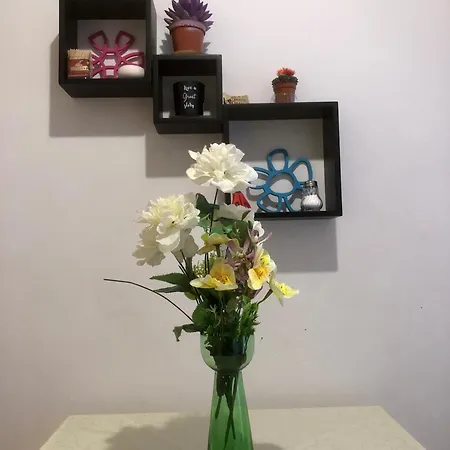 Central City Skadarlija 公寓 *