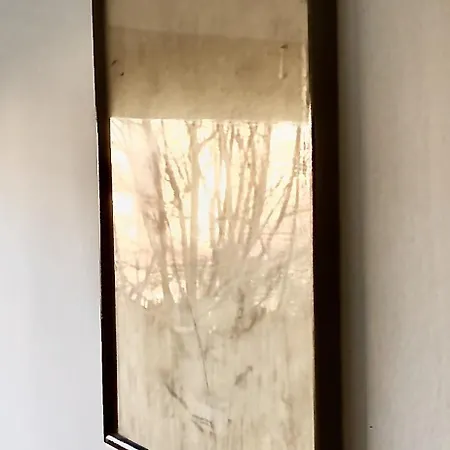 Central City Skadarlija Apartament