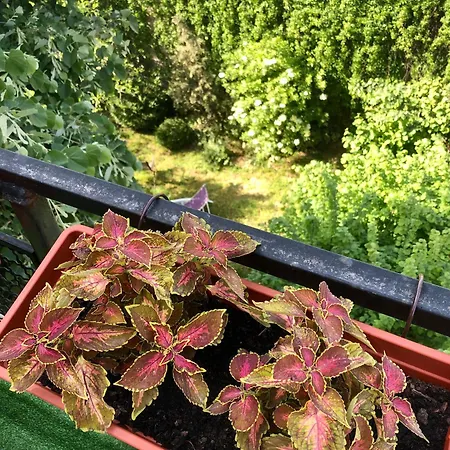 公寓 Central City Skadarlija *