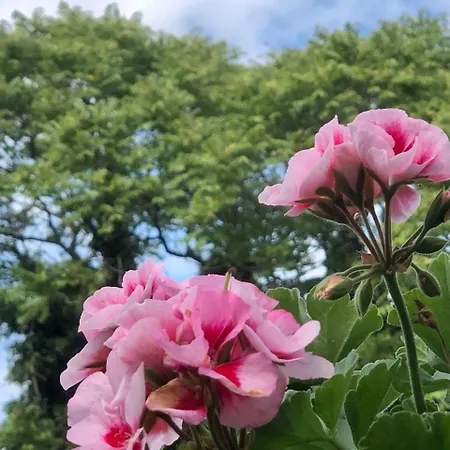 公寓 Central City Skadarlija *